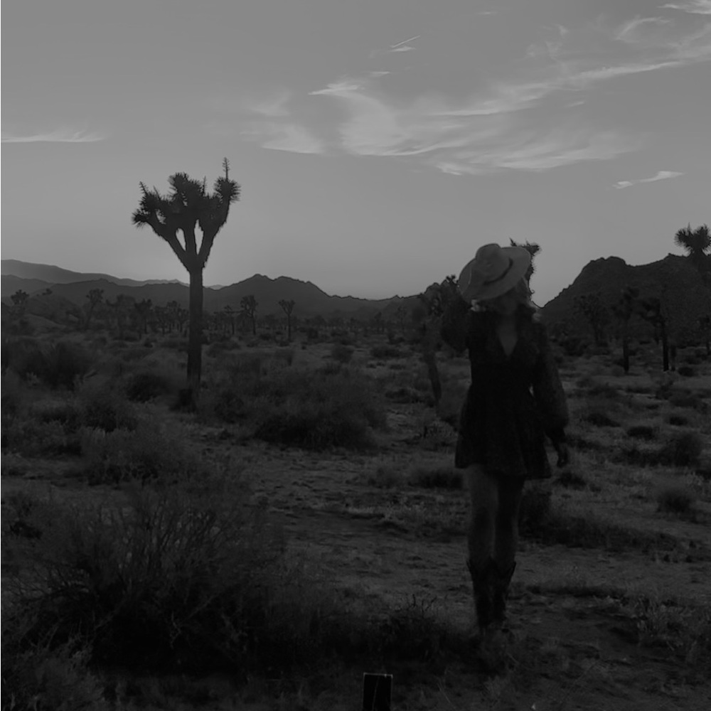 Meet your Posher, Priscilla